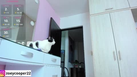 Snapshot of zoey_cooper chatting on November 12, 2025, 1:39 am zoey Independent model online show from November 12, 2025, 1:39 am