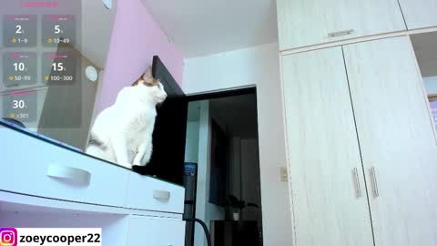 Snapshot of zoey_cooper chatting on November 15, 2025, 1:36 am zoey Independent model online show from November 15, 2025, 1:36 am