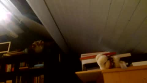 Snapshot of zolexthomas chatting on January 15, 2025, 4:43 pm zolexthomas online show from January 15, 2025, 4:43 pm