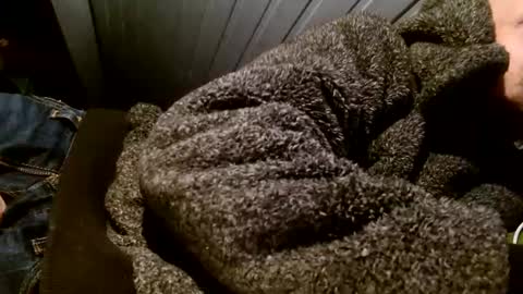 Snapshot of zolexthomas chatting on February 1, 2025, 7:55 pm zolexthomas online show from February 1, 2025, 7:55 pm