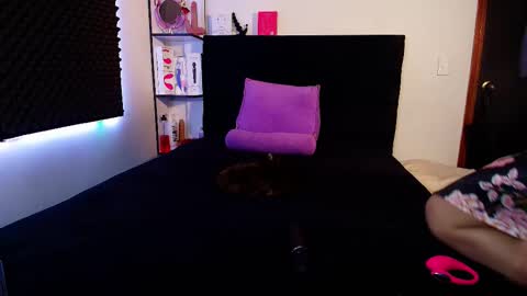 Snapshot of zpzphot chatting on February 14, 2026, 4:42 am zpzphot online show from February 14, 2026, 4:42 am