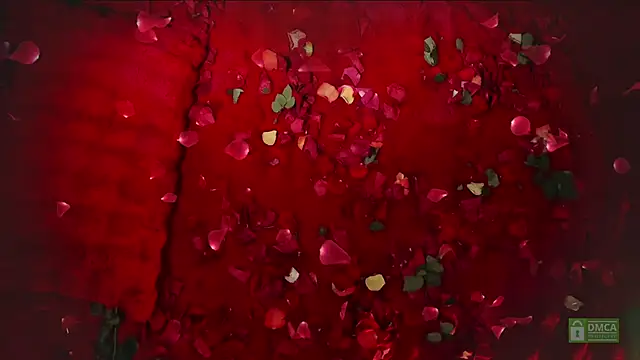 Snapshot of abbyhall_ chatting on February 14, 2026, 8:49 pm abbyhall online show from February 14, 2026, 8:49 pm