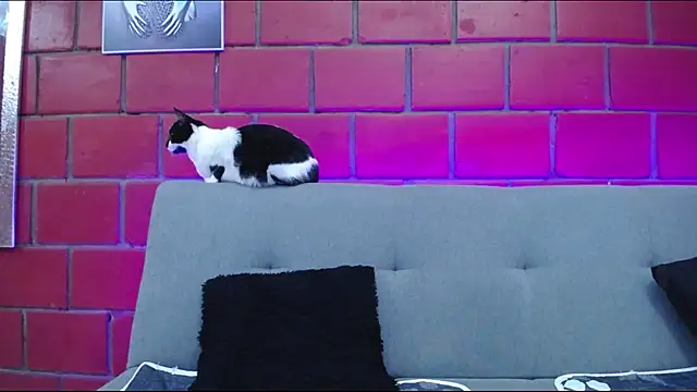 Snapshot of kiara_eyes12 chatting on February 25, 2025, 2:14 am kiara eyes12 online show from February 25, 2025, 2:14 am