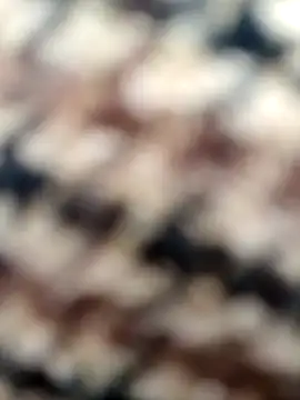 Misscata1106 online show from October 29, 2025, 7:15 pm