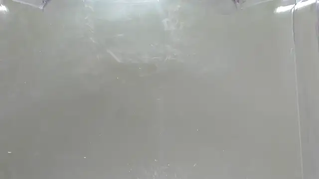 greydesire online show from December 16, 2025, 3:06 pm