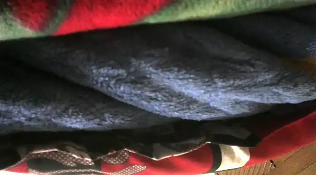 shekira99 online show from February 16, 2025, 9:05 pm