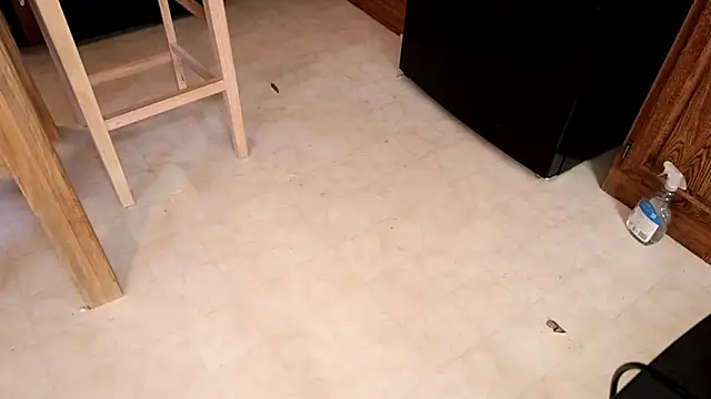 Snapshot of xxpixeyxx chatting on February 12, 2026, 5:52 pm xxpixeyxx online show from February 12, 2026, 5:52 pm