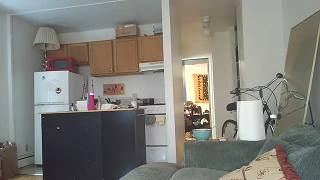 SiminFox online show from October 31, 2025, 7:48 pm