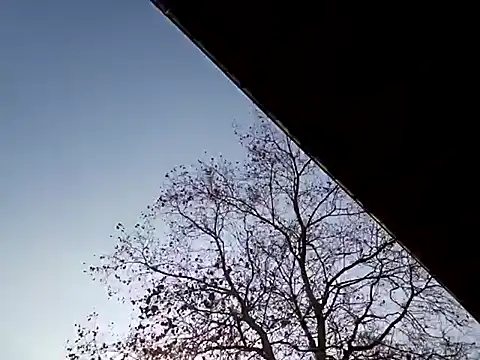 Mia Railey online show from March 7, 2025, 3:49 pm