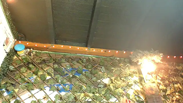 Bigboobs6930 online show from January 24, 2025, 5:31 am