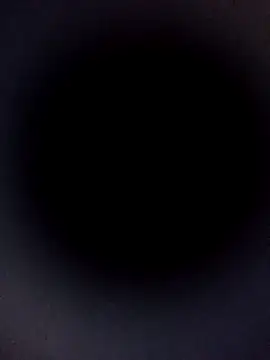 Carlabrasileira online show from November 9, 2025, 4:11 am