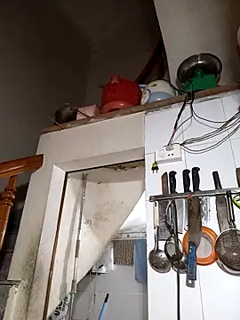 Hotestlove online show from November 20, 2025, 12:33 am