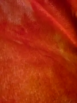 Snapshot of SmokeShow686 chatting on March 5, 2025, 1:50 pm SmokeShow686 online show from March 5, 2025, 1:50 pm