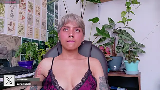 Snapshot of Yeriawaddell_ chatting on February 19, 2026, 5:42 pm Yeriawaddell online show from February 19, 2026, 5:42 pm