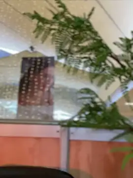 Snapshot of Emilia_Bakerr chatting on December 15, 2024, 9:31 pm Emilia Bakerr online show from December 15, 2024, 9:31 pm