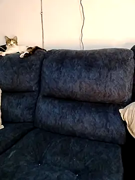 MrsFoucher online show from February 12, 2026, 4:40 am