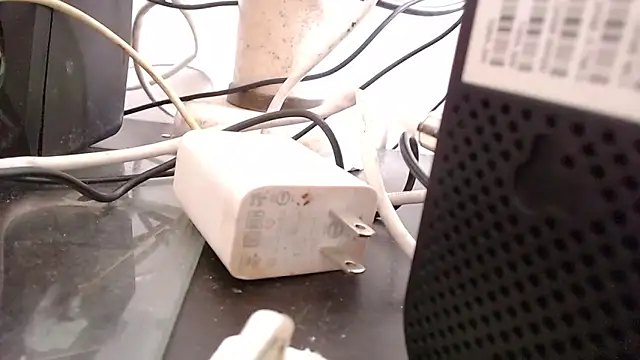 bardotbigcockts online show from September 25, 2025, 8:01 pm