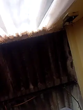 Snapshot of dantero chatting on February 27, 2025, 3:48 pm dantero online show from February 27, 2025, 3:48 pm