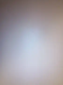 Treemandude online show from September 8, 2025, 4:50 pm