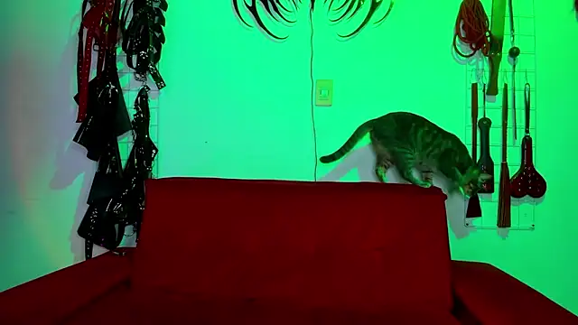 irregular fetish  online show from February 19, 2026, 6:59 pm