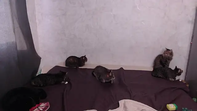 Olivia Winston online show from March 20, 2026, 12:54 pm