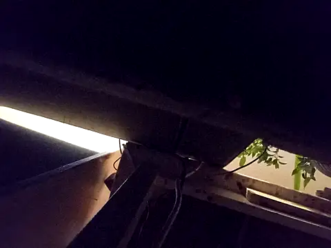 Daminou28 online show from October 19, 2025, 11:16 pm