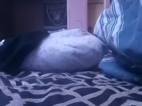 Blkstylion online show from February 5, 2026, 7:07 pm