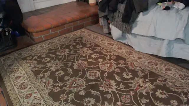 Dark Asteroid online show from March 5, 2026, 12:23 pm