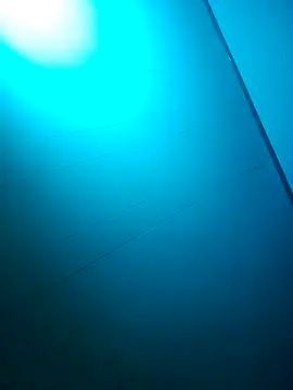 nicedicknicetats online show from October 31, 2025, 5:08 am