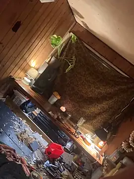 SexToyOnely online show from February 6, 2026, 8:56 pm