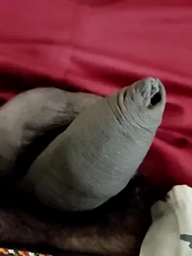 Snapshot of Ashish02345 chatting on January 24, 2025, 8:22 pm Ashish02345 online show from January 24, 2025, 8:22 pm