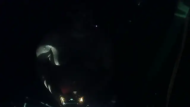 perversalus online show from March 12, 2026, 5:08 pm