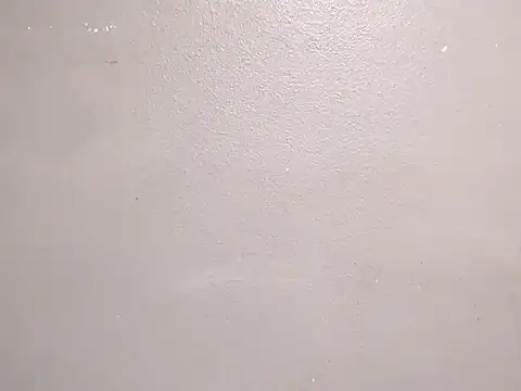 Dogz n daugthers online show from December 21, 2024, 11:55 am