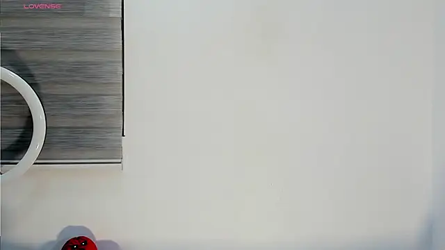 bella hadid1  online show from November 11, 2025, 7:08 am