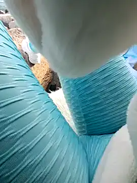 Snapshot of SexyErola27 chatting on January 24, 2025, 3:13 pm SexyErola27 online show from January 24, 2025, 3:13 pm