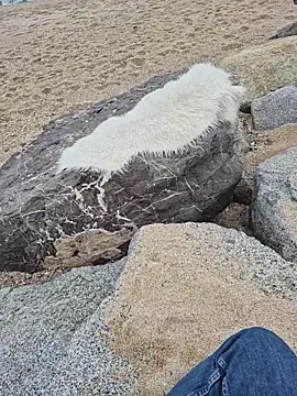 SexyErola27 online show from December 19, 2025, 1:29 pm