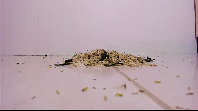 violeth hill online show from February 27, 2025, 11:26 pm