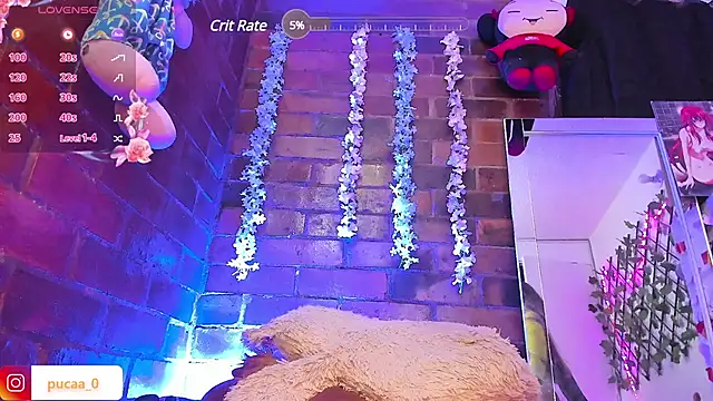 Pucaa  online show from January 31, 2025, 4:03 am