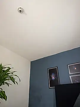 SilvaBranko online show from October 26, 2025, 10:04 pm