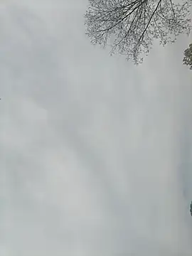 Nkumar173 online show from February 13, 2025, 5:26 am