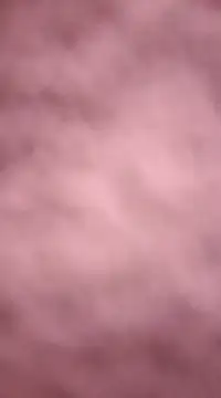 chalaHot online show from December 21, 2024, 11:24 pm