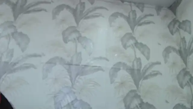 CamDiva113 online show from February 8, 2025, 10:07 am