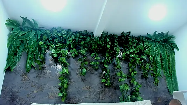 alice greco online show from November 24, 2025, 5:01 pm