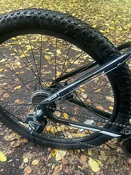 Shyboy817 online show from October 22, 2025, 2:50 pm