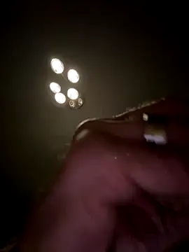 Shyboy817 online show from November 7, 2025, 2:00 am