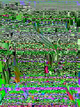 Snapshot of Vikki_toriya chatting on March 1, 2026, 5:15 pm Vikki toriya online show from March 1, 2026, 5:15 pm