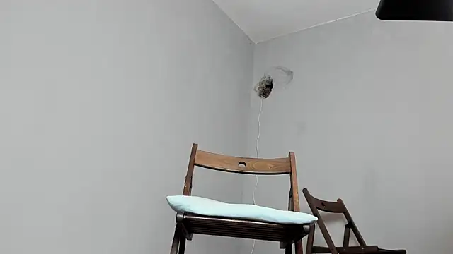 Master Mark Wayne online show from October 15, 2025, 6:52 pm