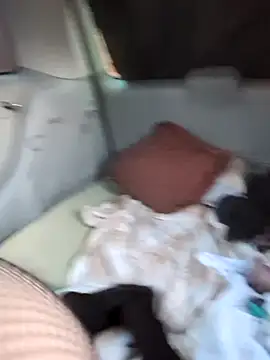 hotcd89 online show from April 19, 2026, 12:26 pm