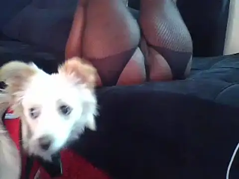 Snapshot of KikiLovesD chatting on December 23, 2024, 2:07 pm KikiLovesD online show from December 23, 2024, 2:07 pm