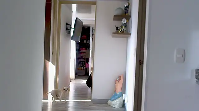 Snapshot of adan_eva960 chatting on September 9, 2025, 12:59 pm adan eva960 online show from September 9, 2025, 12:59 pm